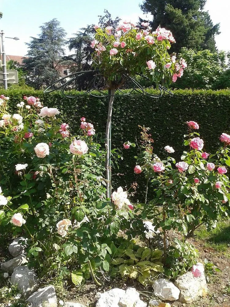 Hotel Cit'Hotel Logis De Brou, Bourg En Bresse